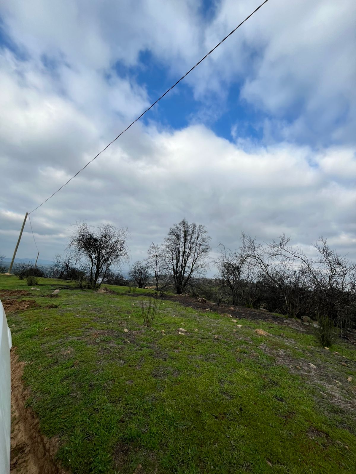 Terreno y entorno