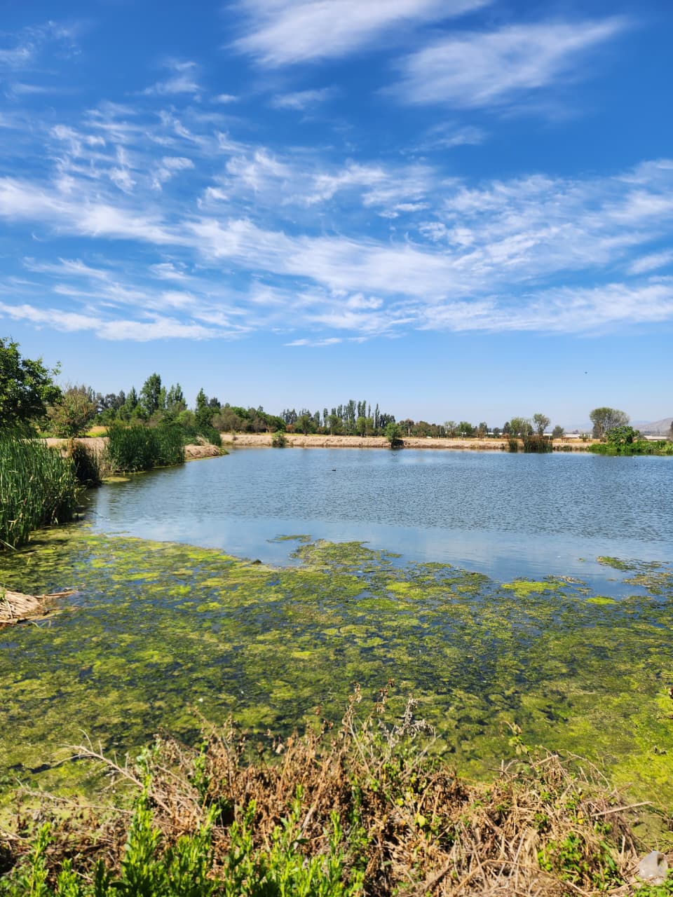 Laguna cielo azul